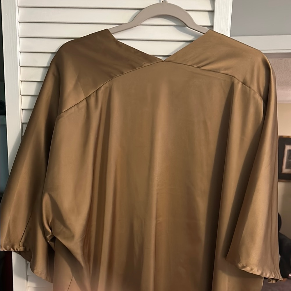 Banana Republic Tan V-Neck Blouse - Picture 6 of 8